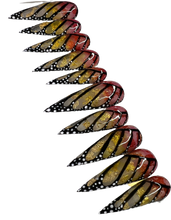 Load image into Gallery viewer, Monarch
